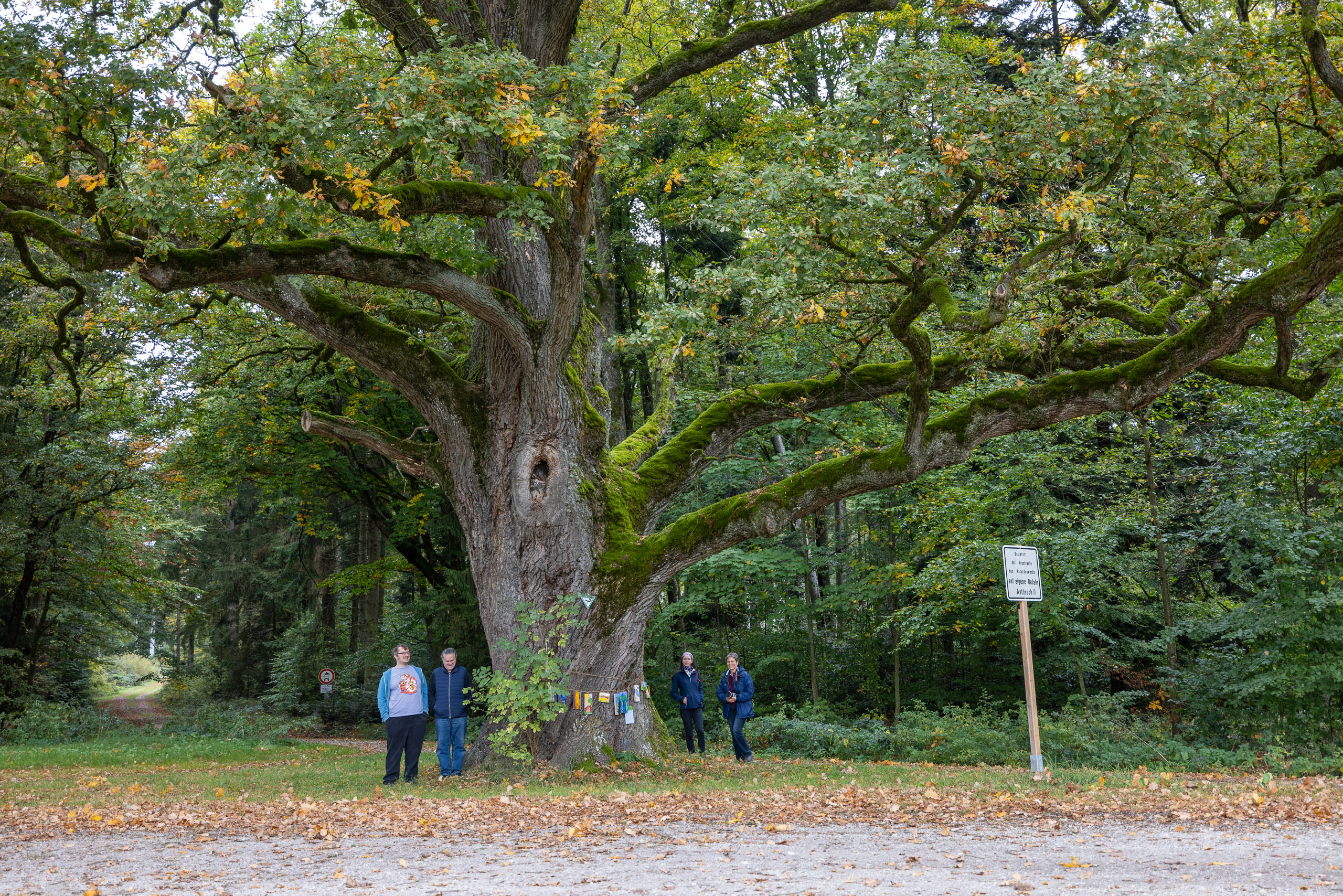 20231015105219 R5D 4363